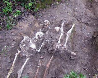 На Прикарпатті знайшли скелети закатованих людей (відео) (фото)