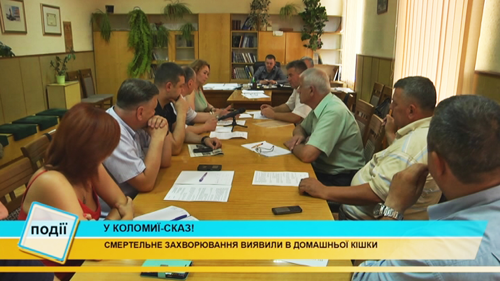 У Коломиї зафіксували сказ! Зібралася надзвичайна протиепізоотична комісія (відео) У Коломиї зафіксували сказ! Зібралася надзвичайна протиепізоотична комісія (відео)