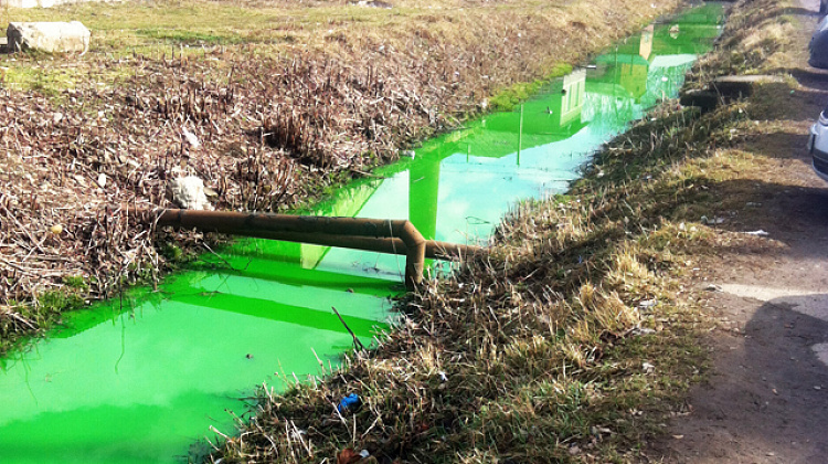 У Коломиї в річку потрапила невідома речовина зеленого кольору (відео)