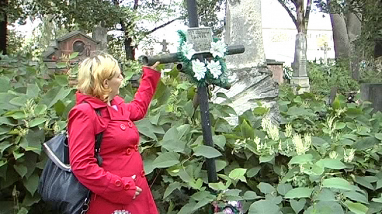 На Коломийському кладовищі вандали розбивають надгробки (відео)