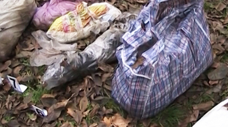 В одному із дворів Івано-Франківська знайшли понівечені тіла (відео)