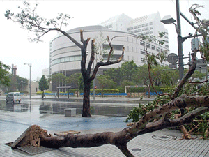 Сьгодні на Китай обрушилось одразу два тайфуни