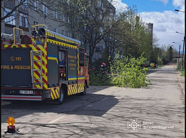 На Івано-Франківщині негода наробила лиха