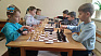 В Івано-Франківську відбувся відкритий турнір «Шахові надії Прикарпаття - 2023» (відео)