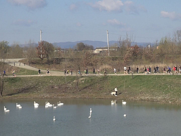 У Коломиї відбувся спортивний забіг (відео)