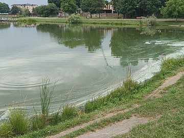 У водоймах Коломийщини вода не відповідає нормам для купання (відео)