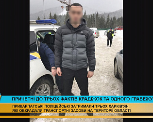 Поліцейські затримали трьох злочинців, які обкрадали автомобілі на Прикарпатті (відео) Поліцейські затримали трьох злочинців, які обкрадали автомобілі на Прикарпатті (відео)