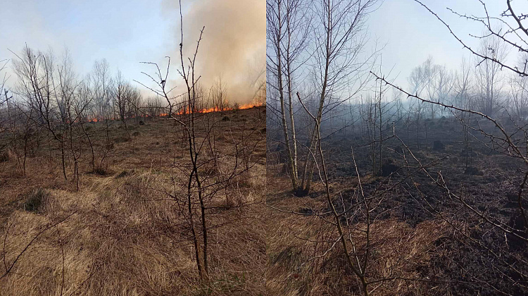 8 пожеж за два дні! На Коломийщині продовжують спалювати траву (фото)