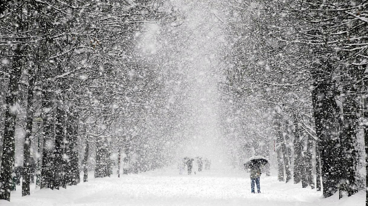 Сніг, хуртовини, замети: на Івано-Франківщині очікується ускладнення погоди