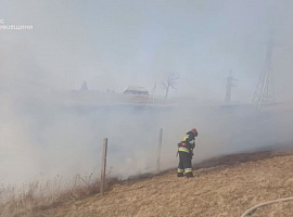 Минулої доби на Прикарпатті рятувальники ліквідували 66 пожеж у природних екосистемах (відео)